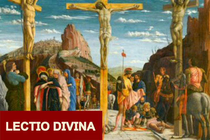 Lectio Domenica delle Palme - logo 2