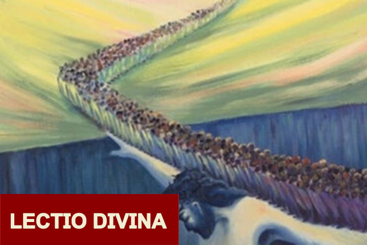 Lectio Quinta Domenica di Pasqua - logo 2