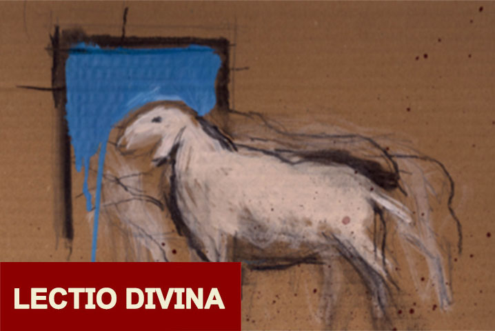 Lectio quarta domenica di pasqua - logo 2