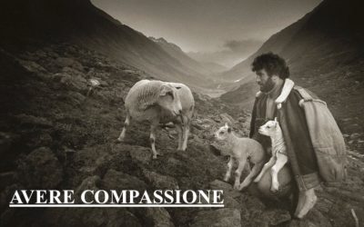 Missione compiuta? – XVI DOMENICA DEL TEMPO ORDINARIO (ANNO B) – Lectio divina