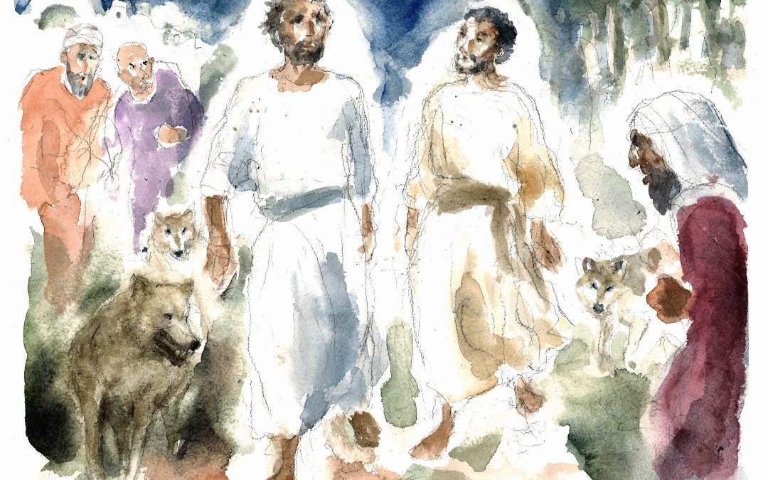 Operai del Vangelo – XIV DOMENICA DEL TEMPO ORDINARIO (ANNO C) – Lectio divina