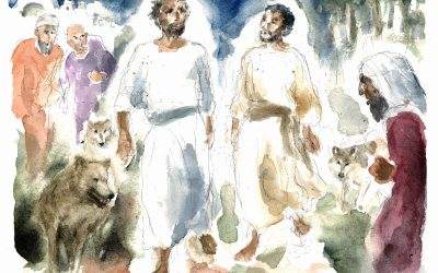 Operai del Vangelo – XIV DOMENICA DEL TEMPO ORDINARIO (ANNO C) – Lectio divina