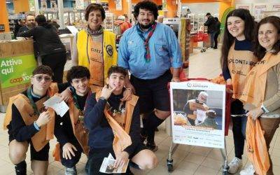 Risultati della 29° Giornata Nazionale della Colletta Alimentare in Italia e in provincia di Matera