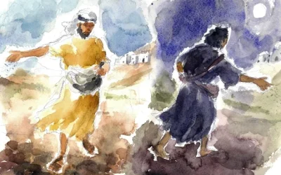La sfida di crescere insieme – XVI DOMENICA DEL TEMPO ORDINARIO (ANNO A) – Lectio divina