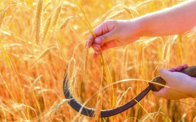 “Dal deserto al giardino”, a Metaponto Lido l’evento diocesano per la Giornata Mondiale di Preghiera per la Cura del Creato 2026