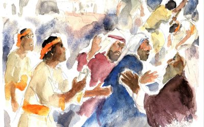 La vigna contesa – XXVII DOMENICA DEL TEMPO ORDINARIO (ANNO A) – Lectio divina